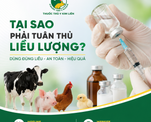 Tại sao phải tuân thủ đúng liều lượng khi sử dụng thuốc thú y?