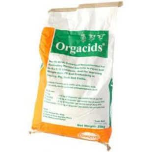 FLORTED 20 POWDER